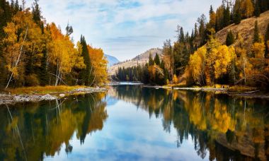 sonbahar doğa orman