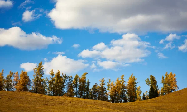 Bosque natural de otoño —  Fotos de Stock