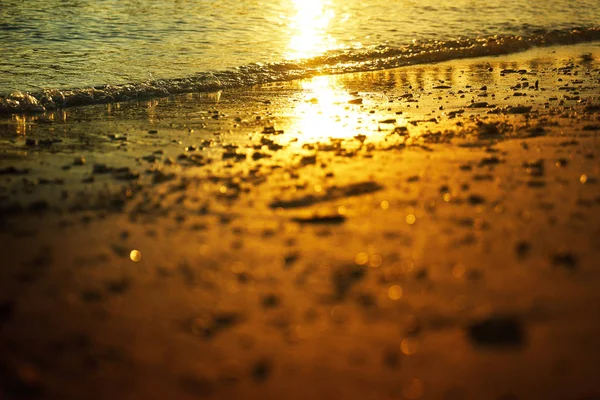 Zlatý úsvit nad pláží — Stock fotografie