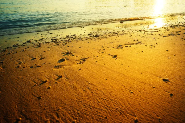 Золотий світанок над пляжем — стокове фото