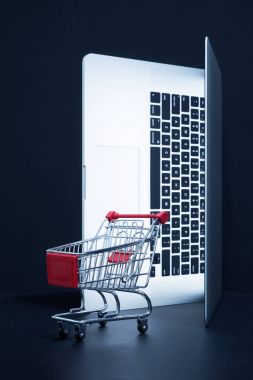 Alışveriş arabası ve laptop.