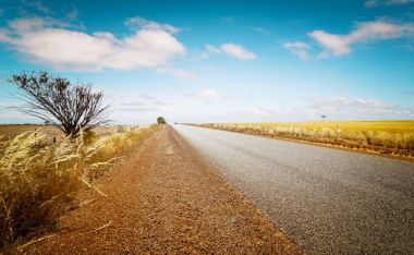 Altın buğday alan, yol mavi gökyüzüne
