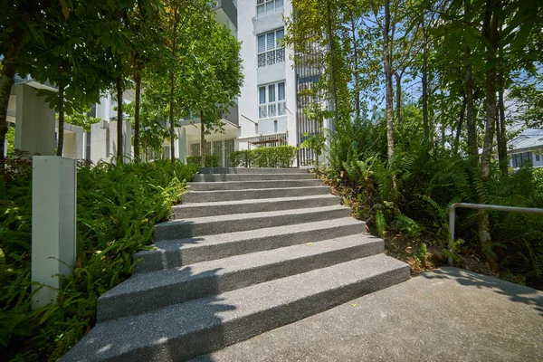 Escada Concreto Com Verde — Fotografia de Stock