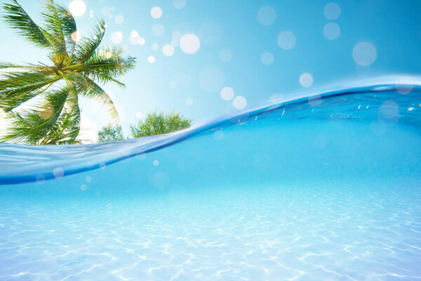 Split view over under sea sky and sky  with palm trees .