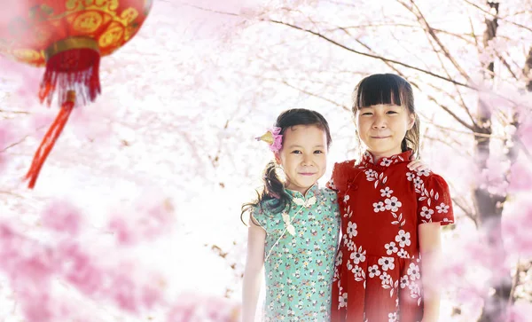 背景をぼかし 中国正月シーズンの桜庭に立っている 人の女の子を正面から見る — ストック写真