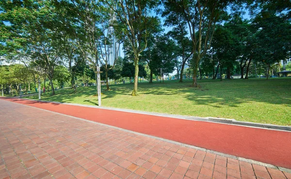 Pasarela Para Hacer Ejercicio Con Hermoso Jardín Verde — Foto de Stock