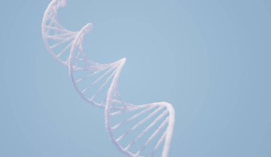 DNA kompleksi sarmal yapısı
