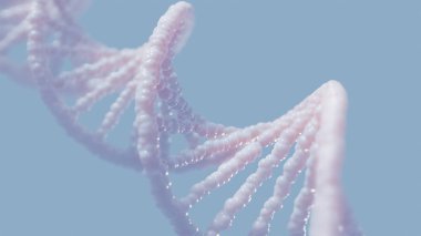 DNA kompleksi sarmal yapısı