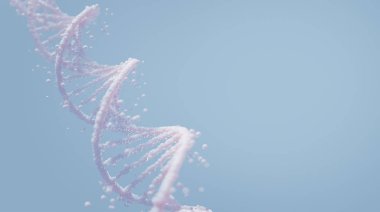 DNA kompleksi sarmal yapısı