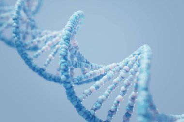 DNA kompleksi sarmal yapısı