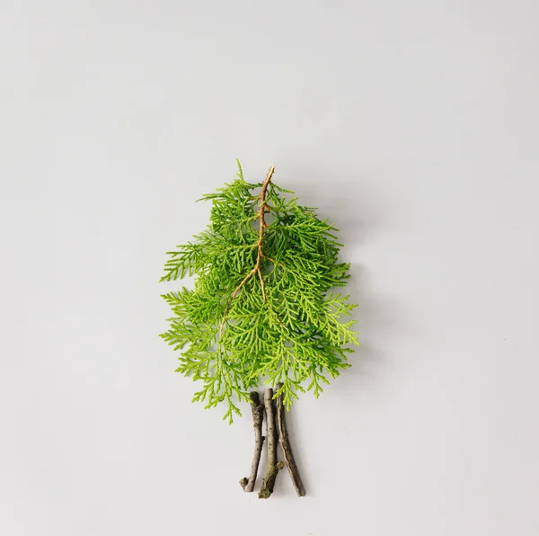 Tree made of leaves and branches. — Stock Photo, Image