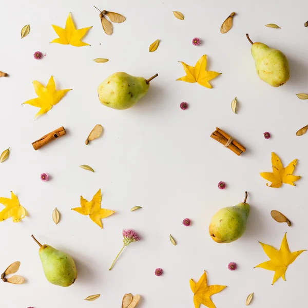 Πολύχρωμο φθινοπωρινό μοτίβο από αχλάδια, φύλλα και λουλούδια. — Φωτογραφία Αρχείου
