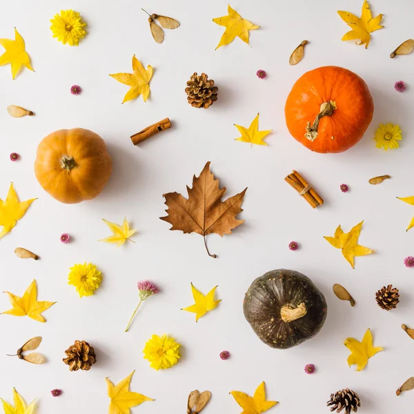 Colorful autumn pattern made of pumpkins, leaves and flowers. — Stock Photo, Image