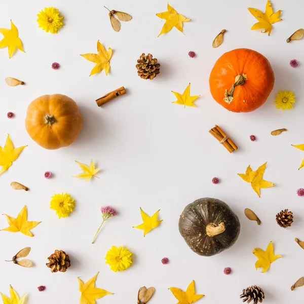 Colorful autumn pattern made of pumpkins, leaves and flowers. — Stock Photo, Image