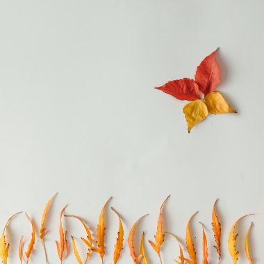 Sonbahar yapraklı arkaplan. 