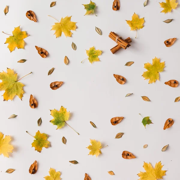 Autumn leaves pattern with cinnamon — Φωτογραφία Αρχείου