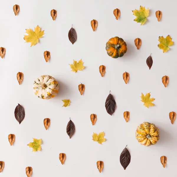 Autumn leaves pattern with pumpkins — Stock Photo, Image