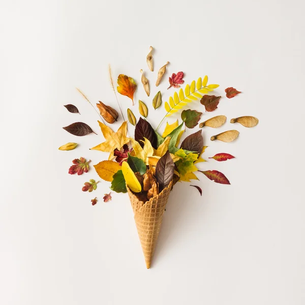 Ice cream cone with autumn leaves — Stock fotografie