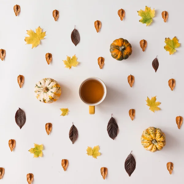 Jesienne liście, dynie, filiżanka kawy — Zdjęcie stockowe