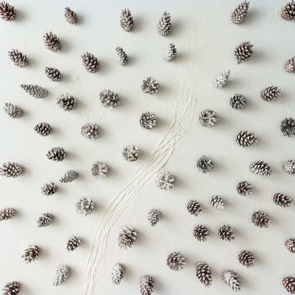 Winter forest made of pine cones. — ストック写真