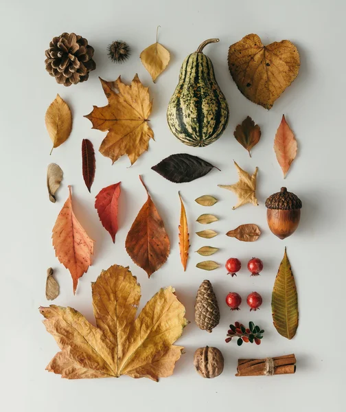 Creative naturalny skład jesień — Zdjęcie stockowe