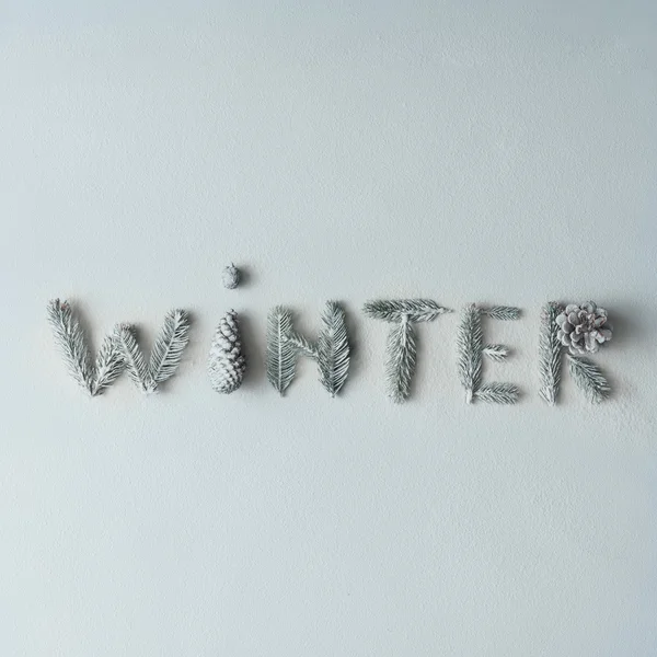 Winter inscriptie gemaakt van takken — Stockfoto