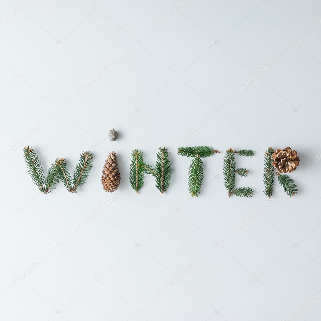 WINTER inscription made of tree branches