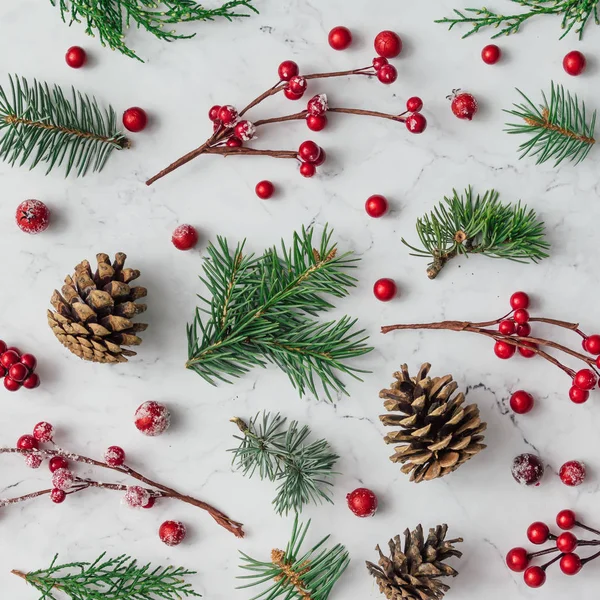 Pattern made of branches and red berries — Stock Photo, Image