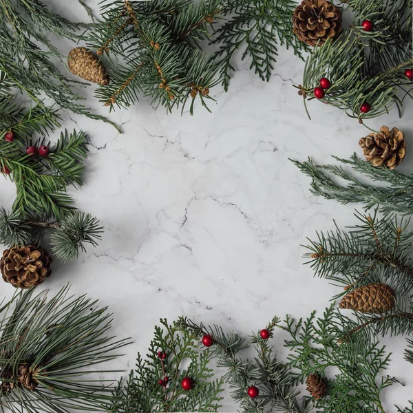 Follaje de invierno de Navidad con inscripción —  Fotos de Stock