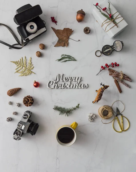 Fotoaparáty s vánoční ozdoby — Stock fotografie