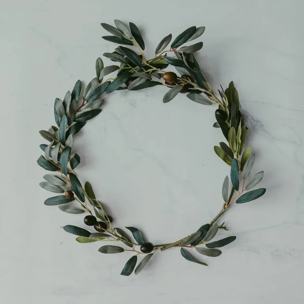 Branches d'olivier en forme de cercle — Photo