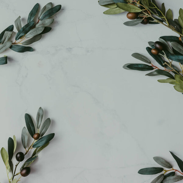 Creative mock up of olive branches
