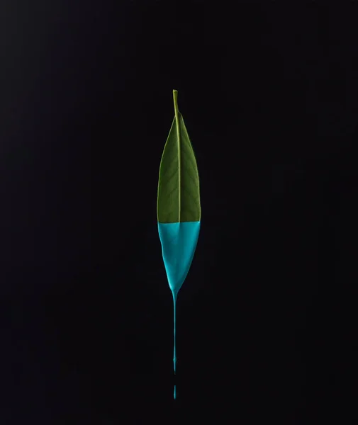 Green leaf with dripping blue paint — Stock Photo, Image