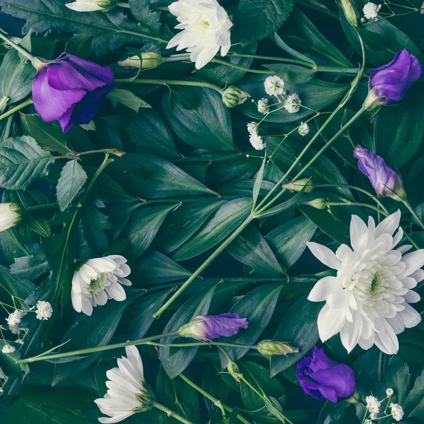 Disposición hecha de hojas verdes y flores — Foto de Stock