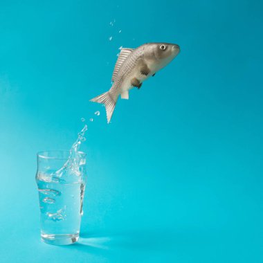 Fish jumping out of glass of water clipart