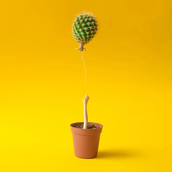 Pop hand die reikt voor cactus ballon — Stockfoto