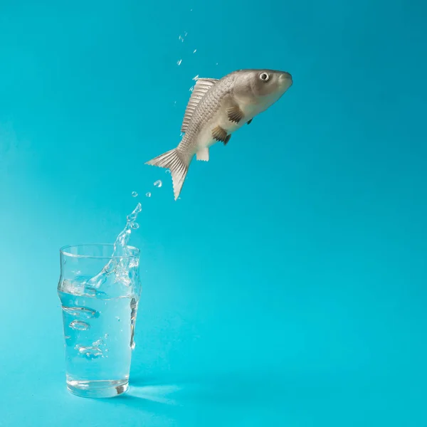 Fish jumping out of glass of water — Stock Photo, Image