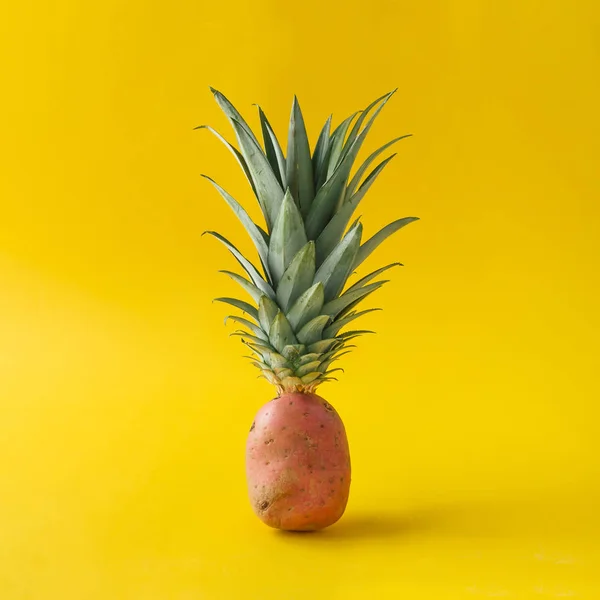 Aardappel met ananas bladeren — Stockfoto