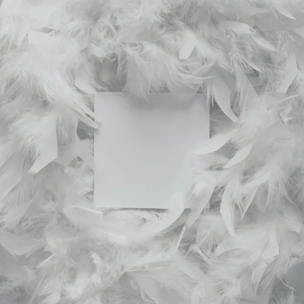 Bright white feathers with paper note — Stock Photo, Image