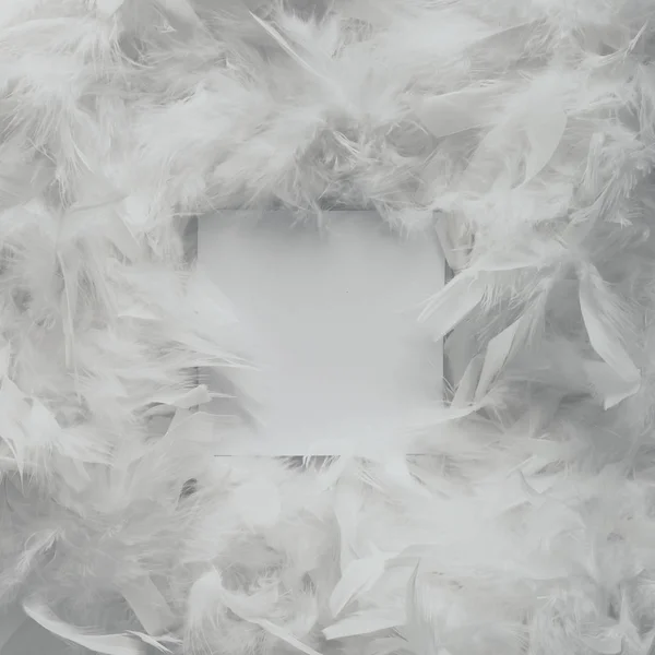 Bright white feathers with paper note — Stock Photo, Image