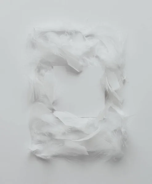 Klare hvite fjær med papirlapp – stockfoto