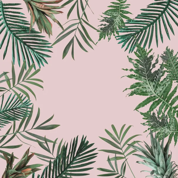 Kreatywny wzór tropikalnych z liści — Zdjęcie stockowe
