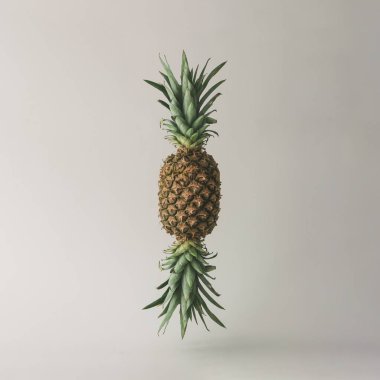 Candy olgun ananas yapılır 