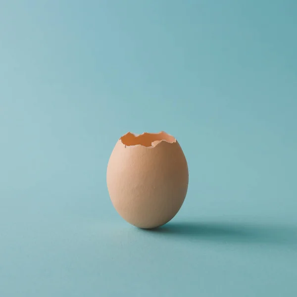 Cáscara de huevo de pollo vacía — Foto de Stock