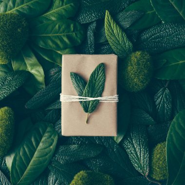 yeşil yaprakları ile DIY hediye kutusu