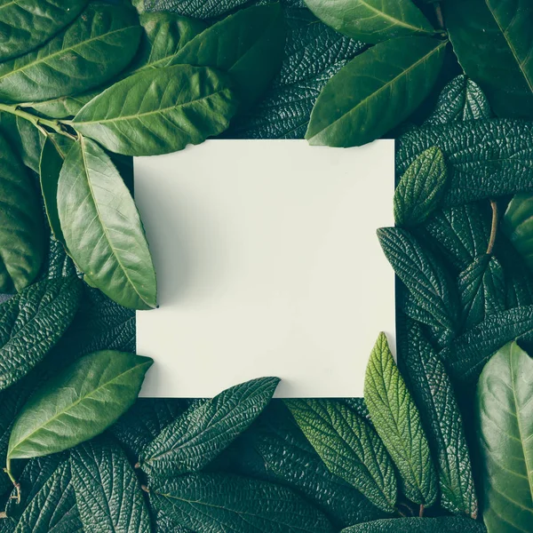 Green leaves with paper card note — Stock Photo, Image