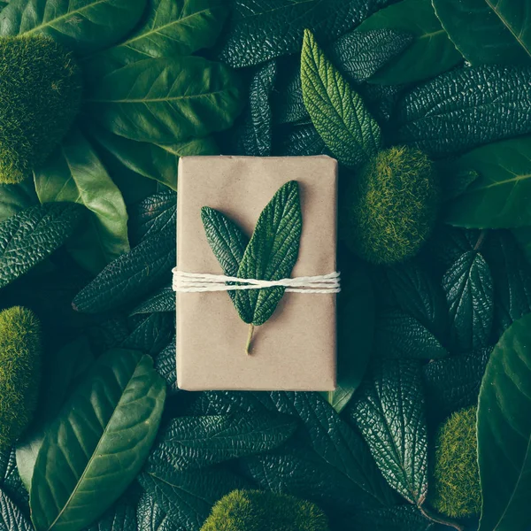 Зеленые листья с коробкой подарков — стоковое фото