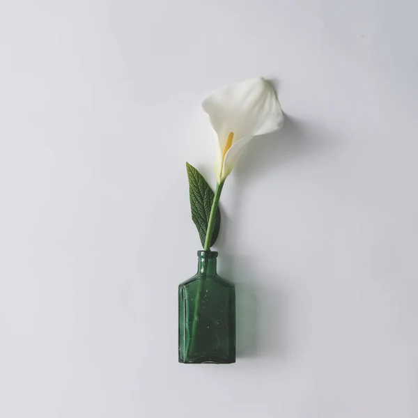 Fleur de calla blanche en bouteille en verre — Photo