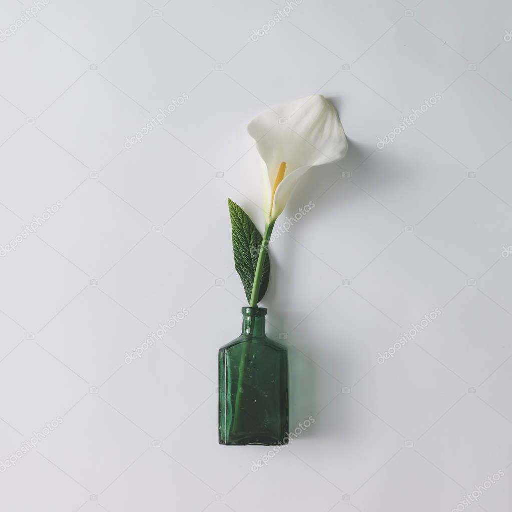 Fiore in vetro calla bianca