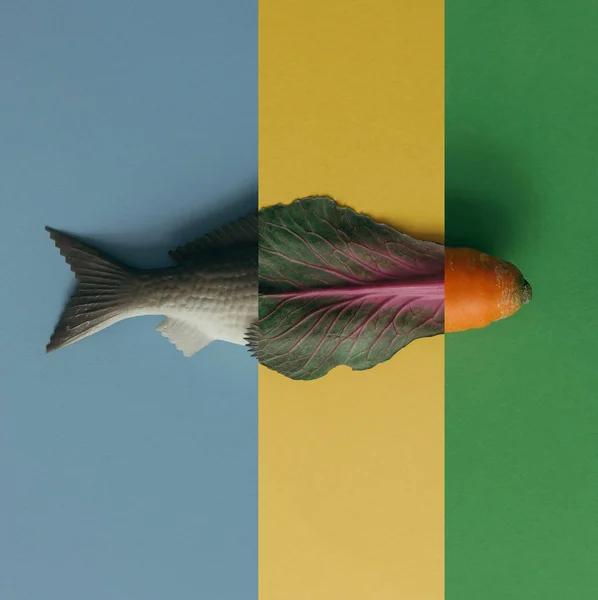 Kleurrijke lay-out gemaakt van vis en groenten — Stockfoto